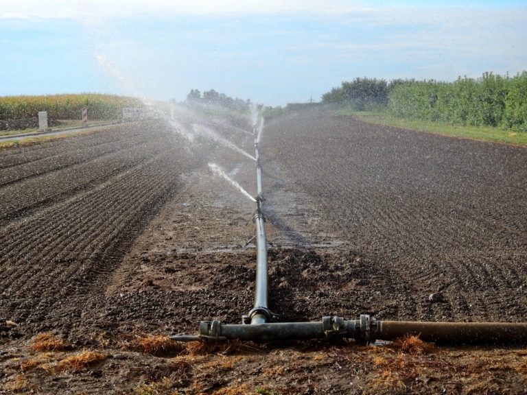 feld - Kampf ums Wasser - Blog - Blog