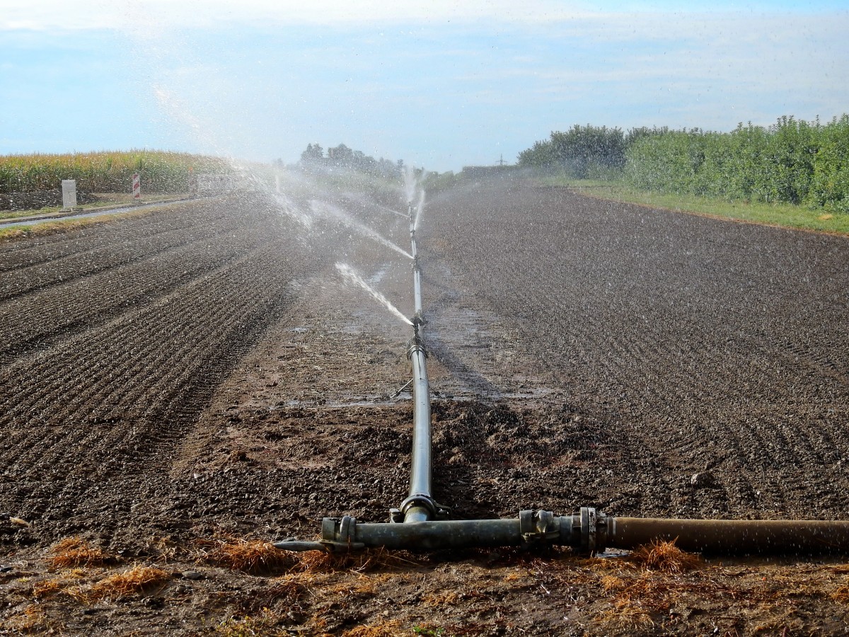 feld - Kampf ums Wasser - - Blog