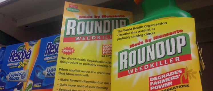 Roundup, das bekannteste Unkrautvernichtungsmittel mit Glyphosat, dürfte bald eines der attraktivsten Produkte von Bayer sein. (Foto: [url=https://www.flickr.com/photos/wdm/27014963276]Global Justice Now/flickr.com[/url])