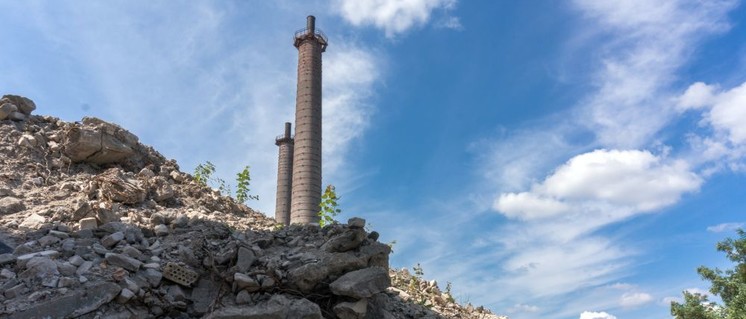 bluehende landschaften - Blühende Landschaften - - Im Bild