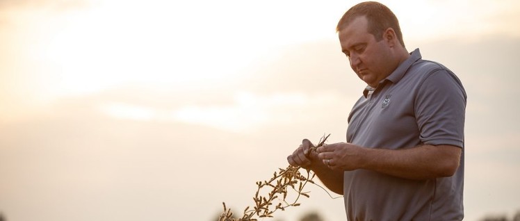 Farmer in den USA sind besorgt um den Absatz ihrer Soja-Bohnen.
                          (Foto: United Soybean Board )