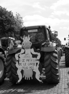 der bauer steht auf im land - Der Bauer steht auf im Land - Belgien, Internationale Politik, Landwirte - Internationales