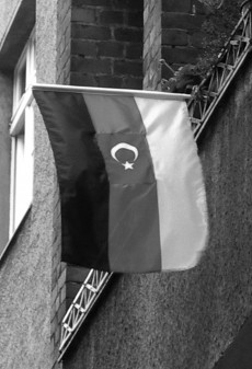 der dfb und die migrantenfrage - Der DFB und die Migrantenfrage - Vermischtes - Die letzte Seite