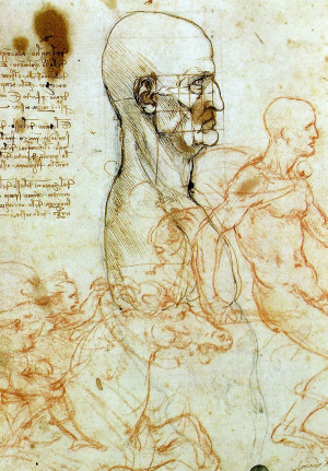 Leonardos anatomische Zeichnungen zeigen die enge Verbindung von moderner Wissenschaft und Kunst