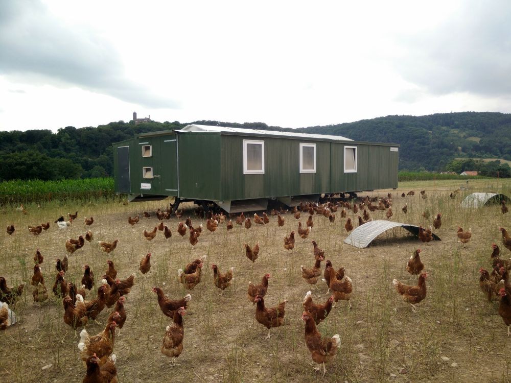 Fahrbarer Hühnerstall