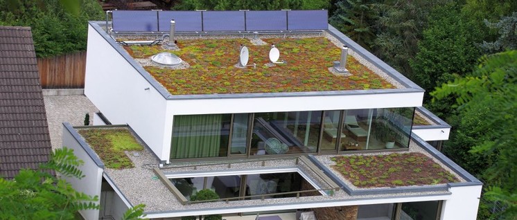 Photovoltaik – natürlich steuerlich gefördert – auf dem begrünten Dach beruhigt das Gewissen der Besserverdienenden. (Foto: [url=https://www.flickr.com/photos/greenoid/35825596423/]Frerk Meyer[/url])