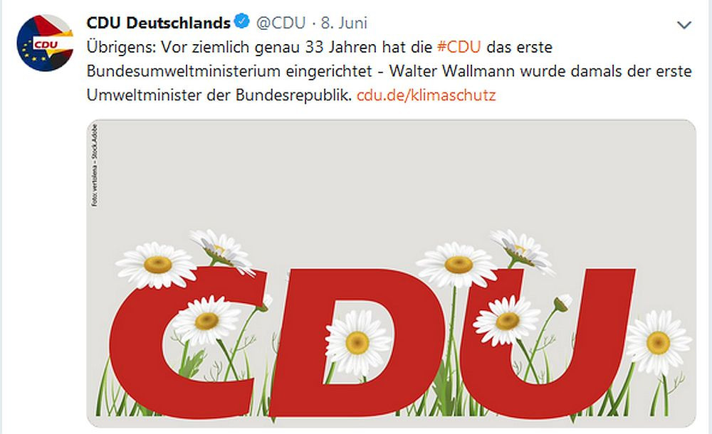 gaensebluemchen - Gänseblümchen - CDU, Klimaschutz - Im Bild