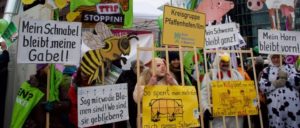 Am 16. Januar haben in Berlin zehntausende gegen konventionelle Landwirtschaft protestiert. Unter dem Motto „Wir haben es satt“ zogen die Bauern und Umweltschützer vom Potsdamer Platz zum Bundeskanzleramt. (Foto: Gabriele Senft)