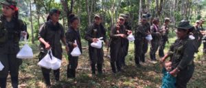 Die Einheiten der FARC sind bereit zur Übergabe ihrer Waffen. (Foto: Misión ONU en Colombia)