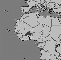 putsch der alten garde - Putsch der alten Garde - Burkina Faso, Internationale Politik - Internationales