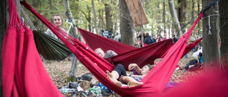 Die Rodung ist vorerst gestoppt. Die Umweltschützer können sich ausruhen. (Foto: Tim Wagner/Ende Gelände)