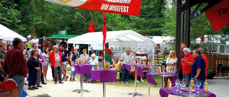 Sonntäglicher Sektempfang auf dem Wisefest (Foto: ZLV)