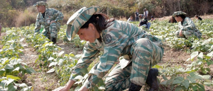 Freiwilligeneinsatz des Ministeriums für urbane Landwirtschaft zum Gemüseanbau außerhalb von Caracas (Foto: Minsterio del Poder Popular de Agricultura Urbana)