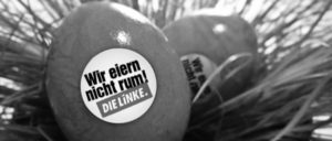 (Foto: Die Linke)