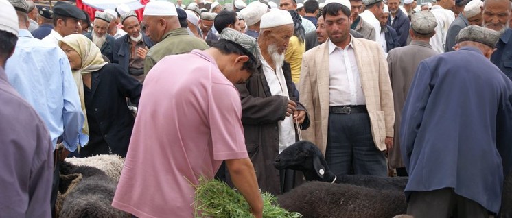 Viehmarkt in Kaschgar, der weitesten westlich gelegenen Stadt Chinas im Autonomen Gebiet Xinjiang (Foto: [url=https://www.flickr.com/photos/69057297@N04/43621967952]ChiralJon[/url])