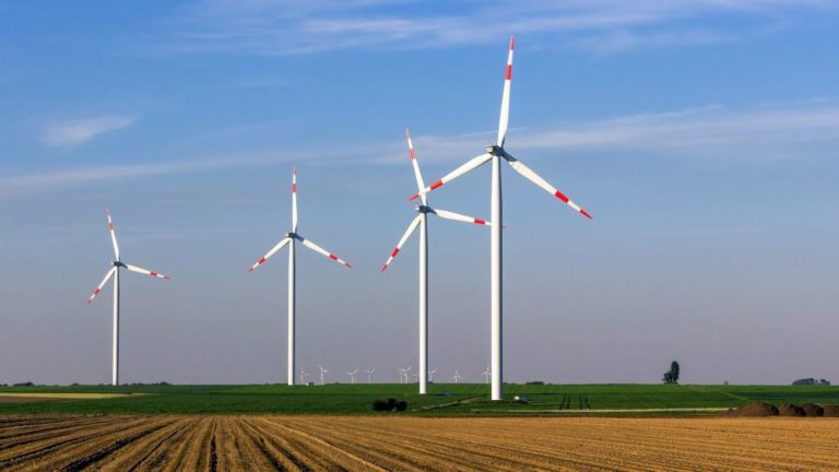 pinwheel 993017 1920 - Akzeptanz ist da - Klimaschutz - Klimaschutz