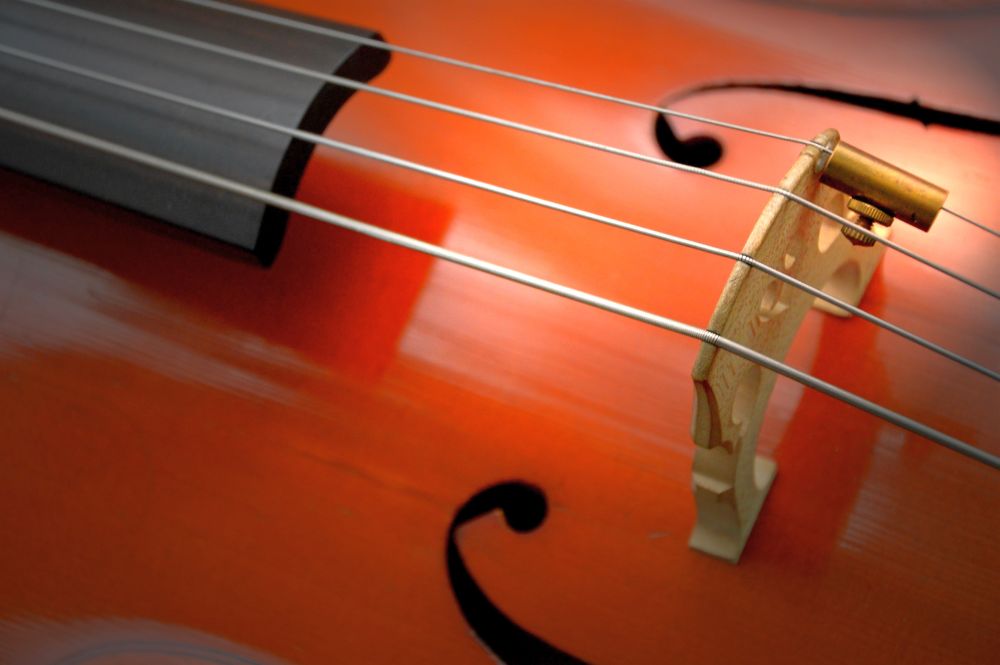 cello 2820987 - Widersprüchliche Erfahrungen - UZ vom 17. April 2020 - UZ vom 17. April 2020