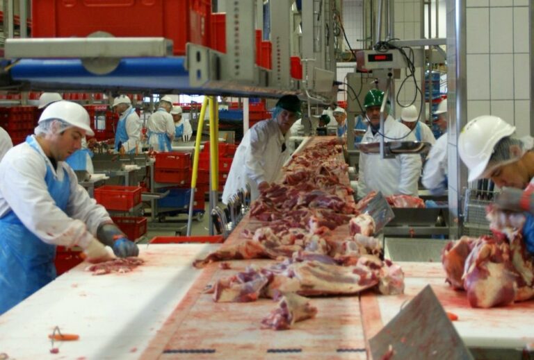 2601 Tönnies - Versprechen zum Brechen - Fleischproduktion - Fleischproduktion