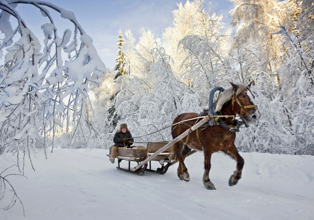 3 Winterland 2010 frankherfortrussianfairytales - Russische Märchen - Russland - Im Bild