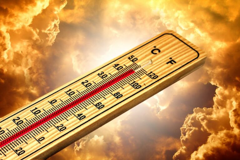 thermometer 4767445 GerdAltmann Pixabay - Was einem so bleibt - - Die letzte Seite