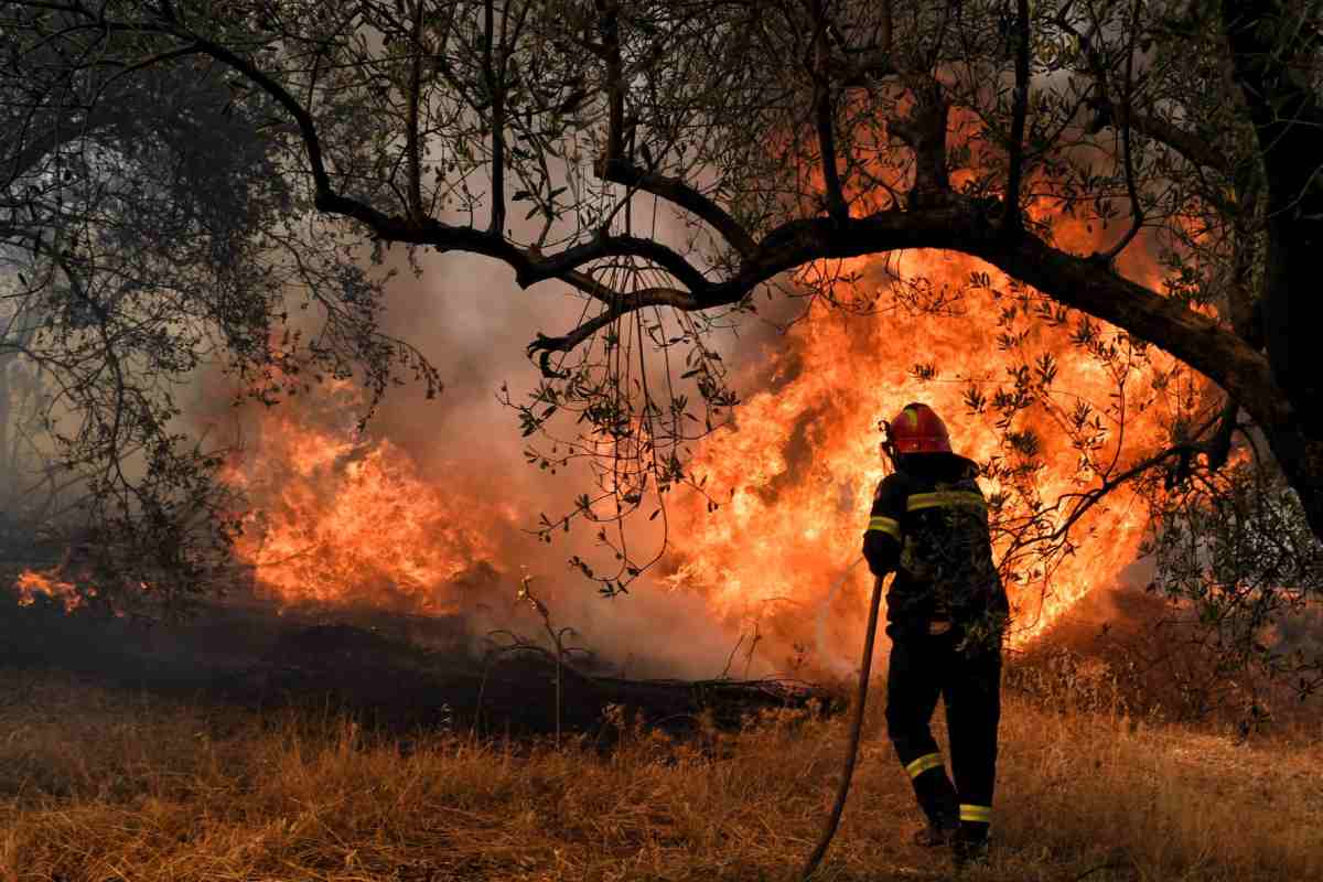 320701 Griechenland - Ein angekündigtes Verbrechen - Griechenland, Klimawandel - Internationales