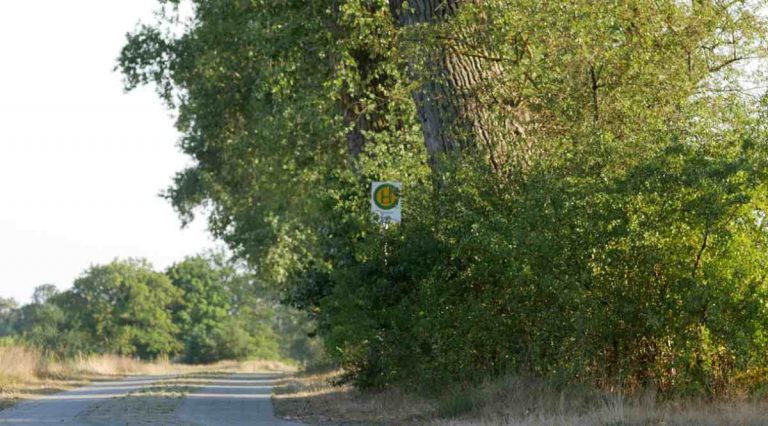 440501 nahverkehr - Verkehrswende auf dem Abstellgleis - Bundesregierung, Klimaschutz, Regierungsbildung, Verkehr - Politik