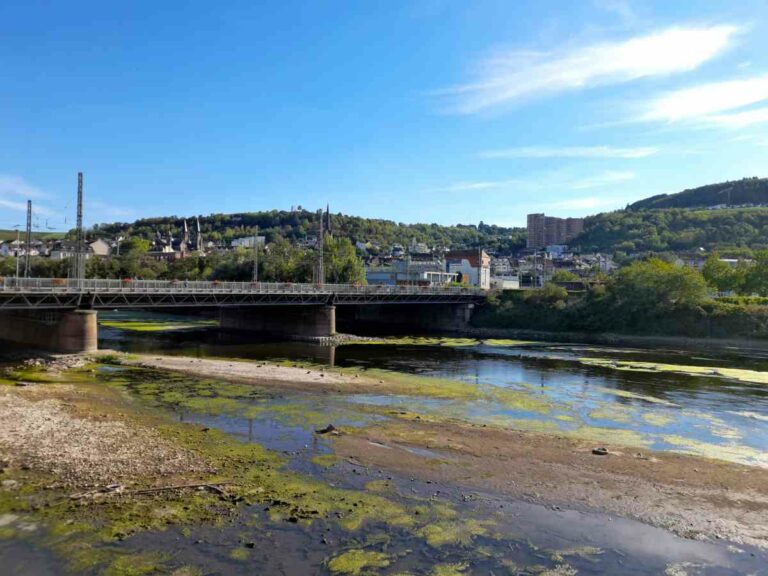 330304 Nahe Rhein Muendung Niedrigwasser 2022 01 - Auf dem Trockenen - Umwelt - Umwelt