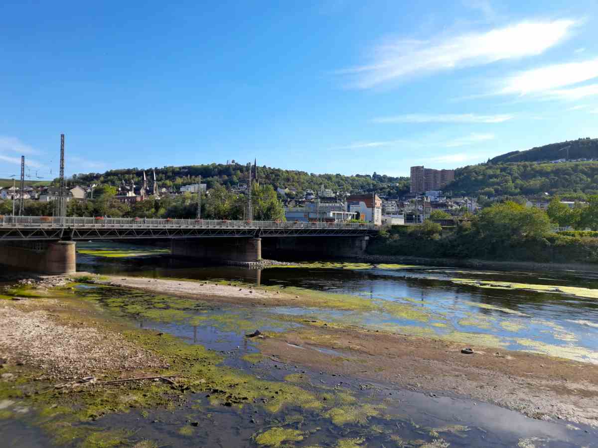 330304 Nahe Rhein Muendung Niedrigwasser 2022 01 - Auf dem Trockenen - Umwelt - Wirtschaft & Soziales