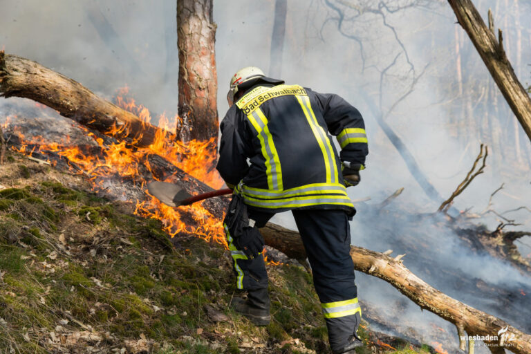 330401 brand n - Lichterloh - Brandenburg - Brandenburg