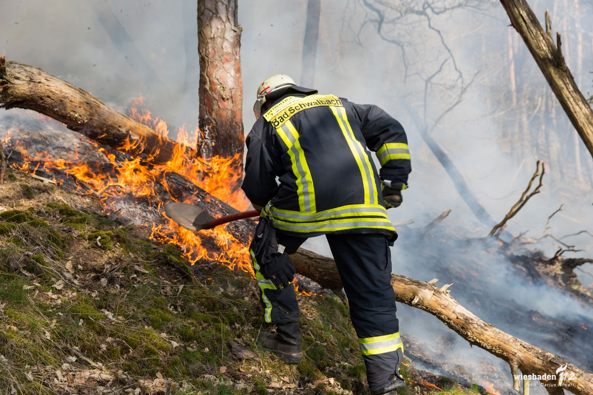 330401 brand n - Lichterloh - Brandenburg, Waldbrände - Politik