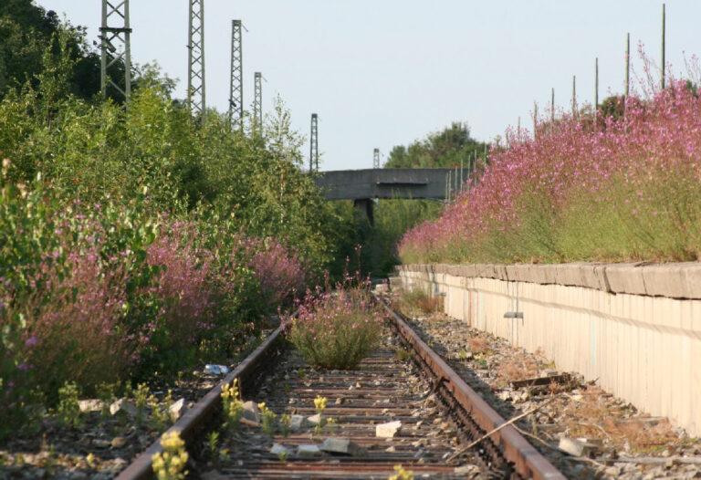 450401 bund - Deutschlandticket am Hungerhaken - ÖPNV - ÖPNV