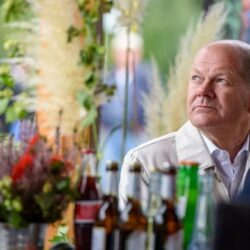 Home - - Politik Cum-Ex und der Kanzler