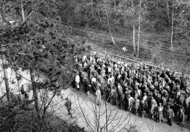 171101 277370375 1643189592706398 7171588020051813141 n scaled 1 - „Unendlich war das Leid“ - KZ Dachau - KZ Dachau