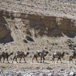 Home - - Politik Afghanistan betritt die Seidenstraße