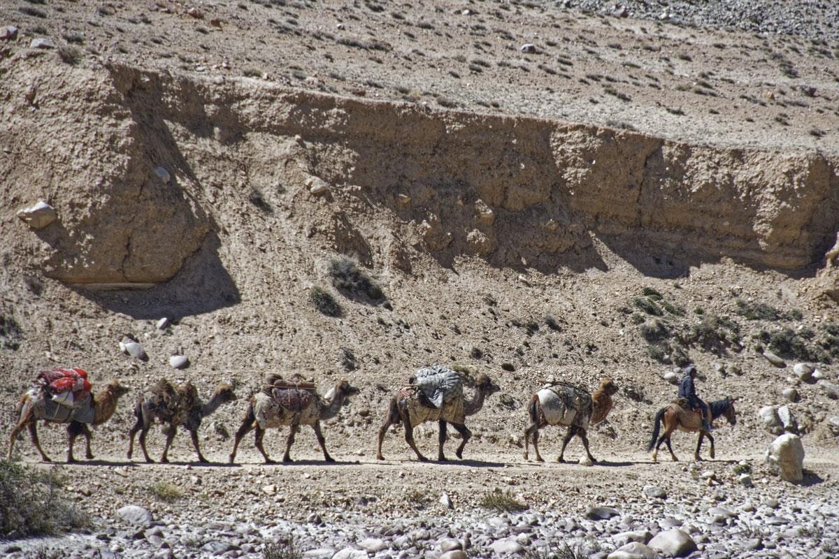 230701 Afghanistan - Afghanistan betritt die Seidenstraße - Afghanistan, Belt and Road Initiative, Neue Seidenstraße - Internationales