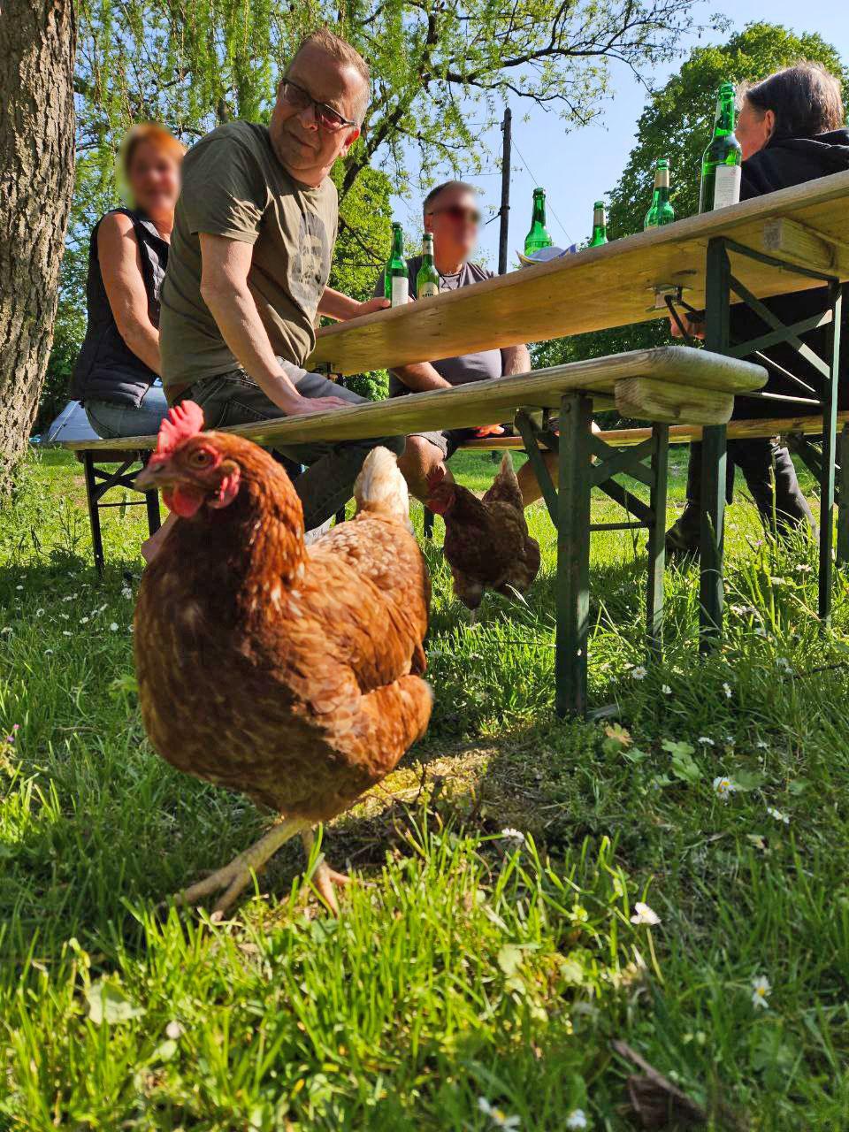 23 16 Rehnagel - Ein Traum - Kolumne oder so - Vermischtes