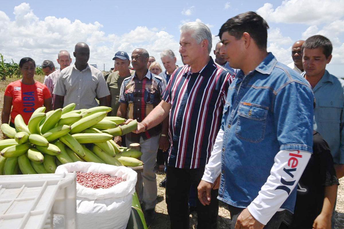 270601 kuba - Mehr Markt geplant - Kuba, Reform - Internationales