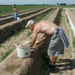 Instrument und Sprungbrett für den deutschen Imperialismus?