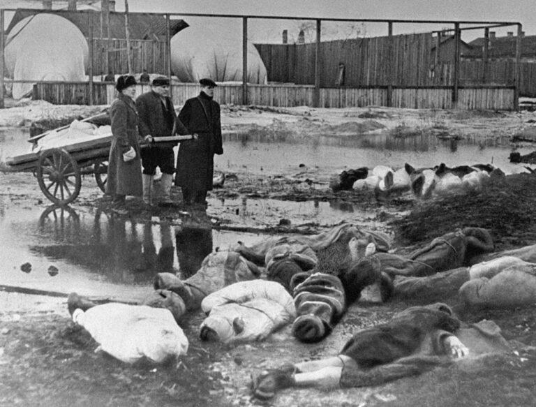 RIAN archive 216 The Volkovo cemetery - Entschädigung jetzt! - Blockade von Leningrad - Blockade von Leningrad