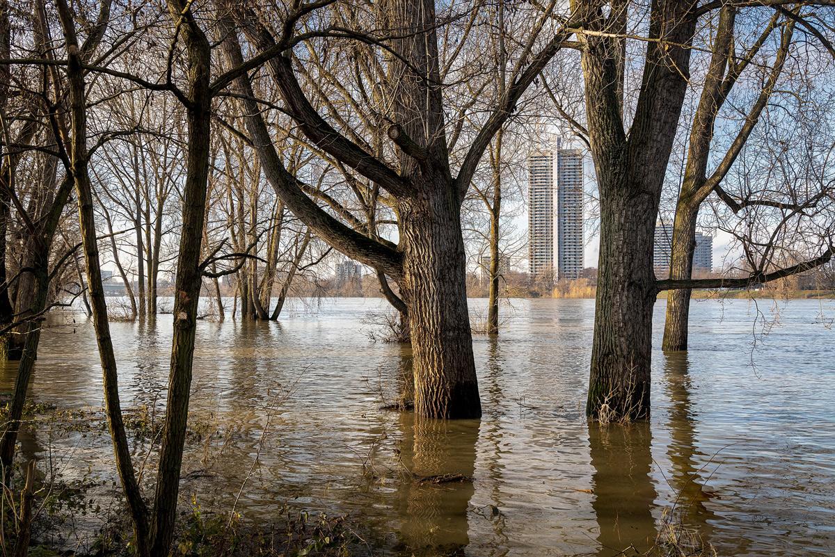 010401 Hochwasser - „Eklatante Defizite“ - Haushalt, Hochwasser, Katastrophen, Olaf Scholz, Schuldenbremse - Politik
