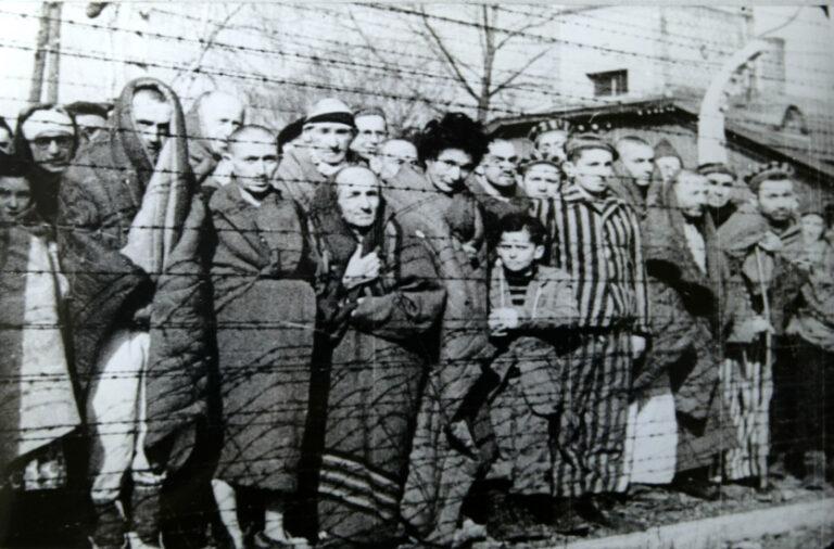 Auschwitz Liberated January 1945 - Skandalöses „Gedenken“ - Blog - Blog