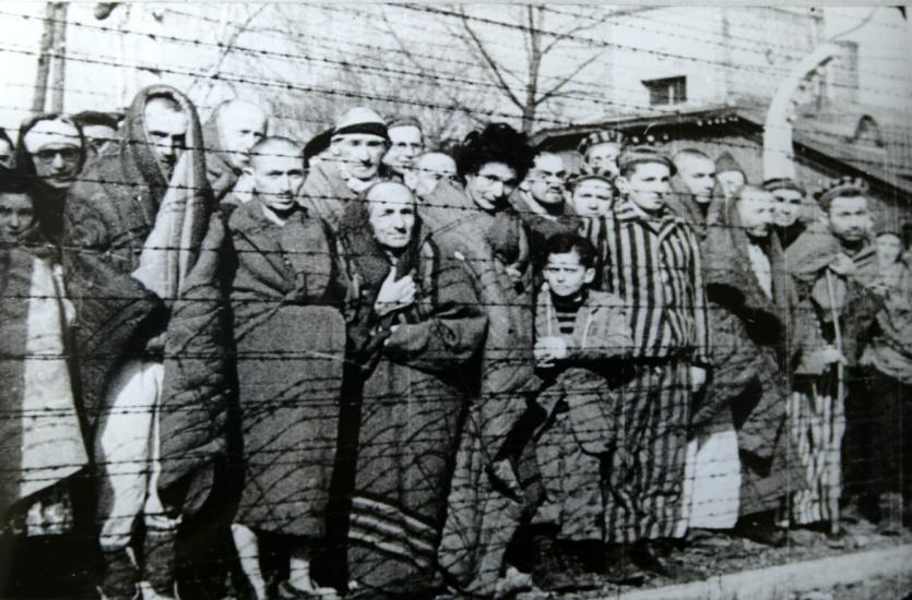 Auschwitz Liberated January 1945 - Skandalöses „Gedenken“ - Antirussische Propaganda, Internationaler Tag des Gedenkens an die Opfer des Holocaust, Luxemburg - Blog