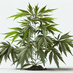 Alles richtig gemacht