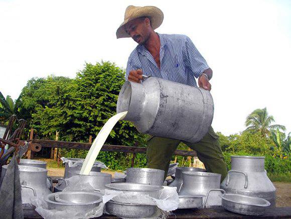 1212 02entrega de leche fresca 580x437 1 - Aufbruch ins Unbekannte - Armut, KMU, Kuba, Kuba-Solidarität, Monopolverbände, PCC, Raul Castro, US-Blockade Kubas - Internationales