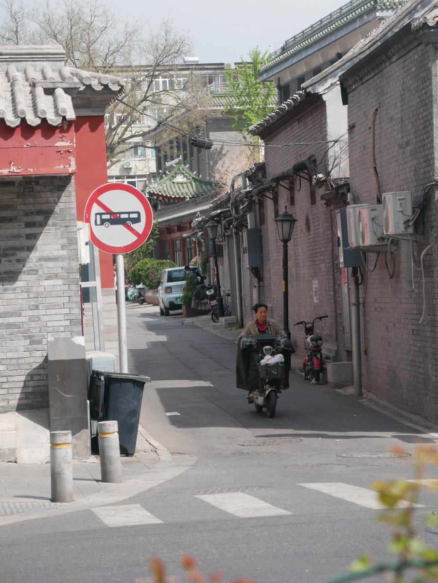P1020809 - Gewusel und himmlische Ruhe - Chinareise, DKP, Kommunistische Partei der Schweiz, KPCh, Partei "Die Linke", Peking, Sozialismus chinesischer Prägung - Internationales
