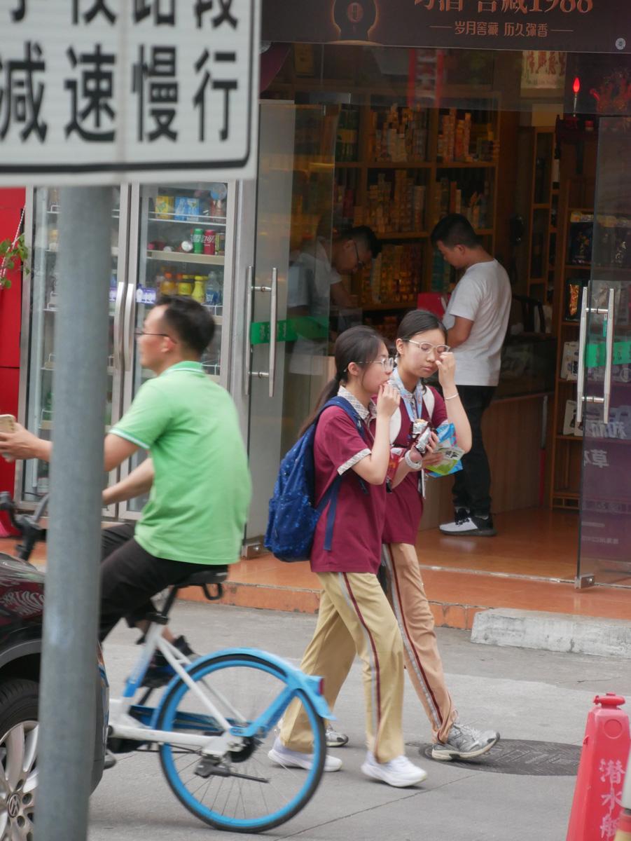 P1030483 - Gewusel und himmlische Ruhe - Chinareise, DKP, Kommunistische Partei der Schweiz, KPCh, Partei "Die Linke", Peking, Sozialismus chinesischer Prägung - Internationales