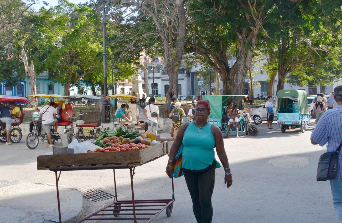 2025 04 29 0082 LaHabana - Auf jeden Fall Sozialismus - Cuba Libre, Klinik Rosa Luxemburgo, Kommunistische Partei Kubas, Peter Weyland, Reise nach Kuba, Solidarität mit dem sozialistischen Kuba!, US-Blockade Kubas, UZ-Leserreise - Aktion