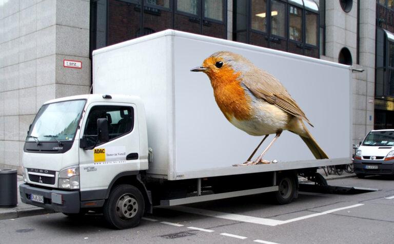 2716 Mitsubishi Fuso Canter - Ähhh … nein. - Kolumne oder so - Die letzte Seite