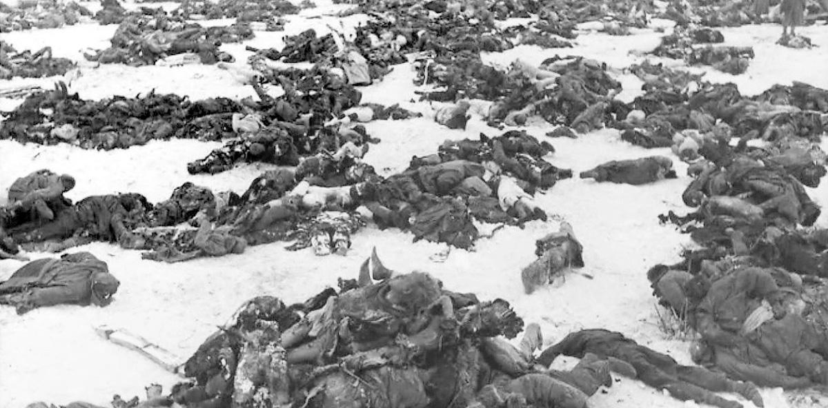 2909 Сталинград. Трупы солдат вермахта - Russen zu töten - Boris Pistorius, Kriegstreiber, Russophobie, US-Rakteten - Positionen