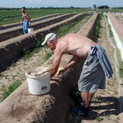 Mehr Ausnahmen für Saisonkräfte?